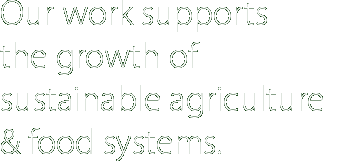 masselink enviornmental design